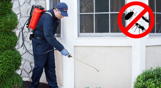 Bozyazı Uçan Haşere İlaçlama böcek ilaçlama ve haşere kontrolü — ilaclama-tr.com